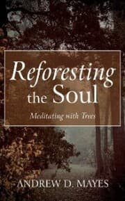 Cover von Reforesting the Soul