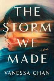Cover von The Storm We Made