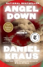 Cover von Angel Down