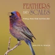 Cover von Feathers and Scales