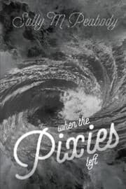 Cover von When the Pixies left