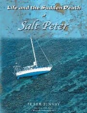 Cover von Life and the Sudden Death of Salt Peter