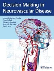 Cover von Decision Making in Neurovascular Disease