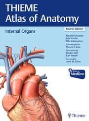 Cover von Internal Organs (THIEME Atlas of Anatomy)