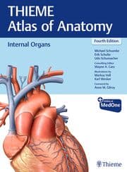 Cover von Internal Organs (THIEME Atlas of Anatomy)