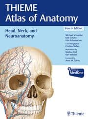 Cover von Head, Neck, and Neuroanatomy (THIEME Atlas of Anatomy)