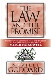 Cover von The Law and the Promise