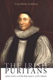 Cover von The Irish Puritans