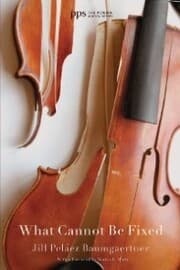 Cover von What Cannot Be Fixed