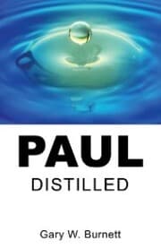 Cover von Paul Distilled