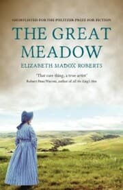 Cover von The Great Meadow