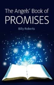 Cover von The Angels' Book of Promises
