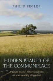Cover von Hidden Beauty of the Commonplace