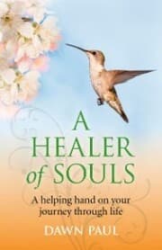 Cover von A Healer of Souls