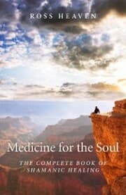 Cover von Medicine for the Soul