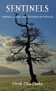 Cover von Sentinels
