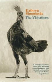 Cover von The Visitations