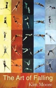 Cover von The Art of Falling