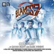 Cover von Cold Fury