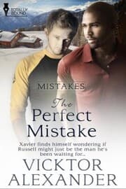 Cover von Perfect Mistake