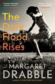 Cover von The Dark Flood Rises