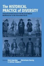 Cover von The Historical Practice of Diversity