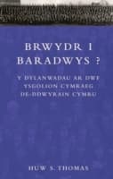Cover von Brwydr i Baradwys?