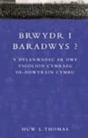 Cover von Brwydr i Baradwys?