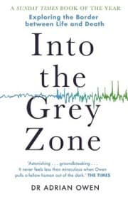 Cover von Into the Grey Zone