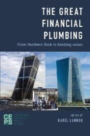 Cover von The Great Financial Plumbing