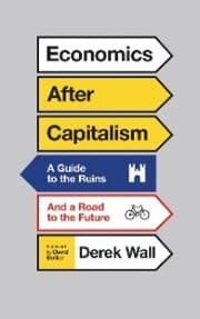 Cover von Economics After Capitalism