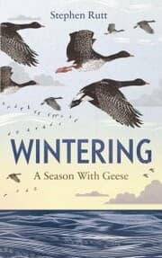 Cover von Wintering