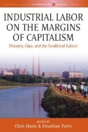 Cover von Industrial Labor on the Margins of Capitalism