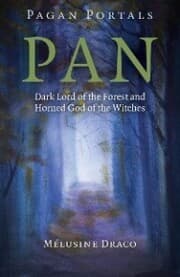 Cover von Pagan Portals - Pan