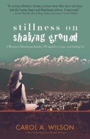 Cover von Stillness on Shaking Ground