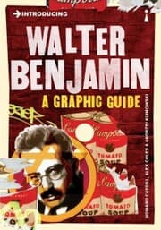 Cover von Introducing Walter Benjamin