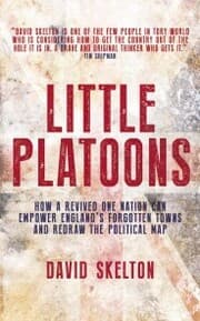 Cover von Little Platoons