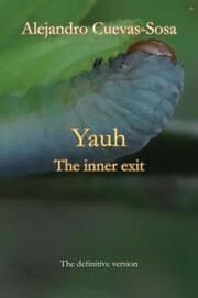 Cover von Yauh