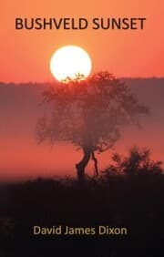 Cover von Bushveld Sunset
