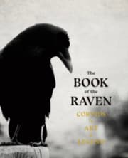 Cover von The Book of the Raven