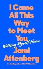 Cover von I Came All This Way to Meet You