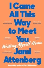 Cover von I Came All This Way to Meet You