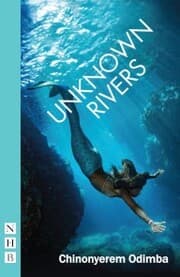 Cover von Unknown Rivers