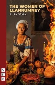 Cover von The Women of Llanrumney