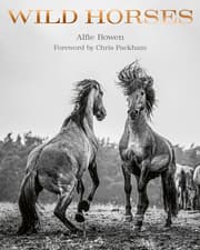 Cover von Wild Horses