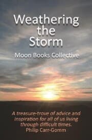 Cover von Weathering the Storm