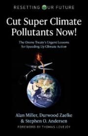Cover von Cut Super Climate Pollutants Now!