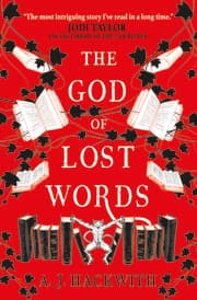 Cover von The God of Lost Words