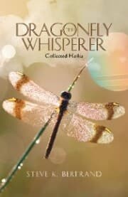 Cover von The Dragonfly Whisperer
