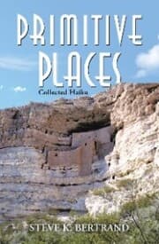 Cover von Primitive Places